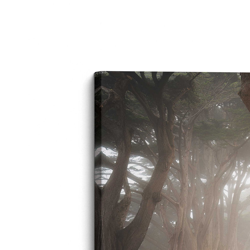 «The Rugged Ones» par Martin Podt, reproduction d'art, 30 W x 20 H, Does Not Apply, Unframed Canvas
