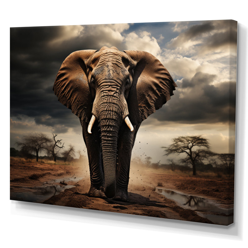 Éléphant harmonie en monochrome IV - reproduction sur toile, H 34 po x l 44 po x P 1,5 po, Toile tendue