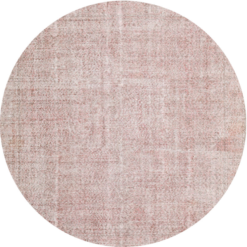 Janete Oriental Indoor Rug, Round 4'