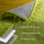 Tapis verts pour le salon 5X8, tapis moelleux moelleux, pelucheux, moelleux, tapis à poils longs pour chambre à coucher, tapis pour chambre d'enfant