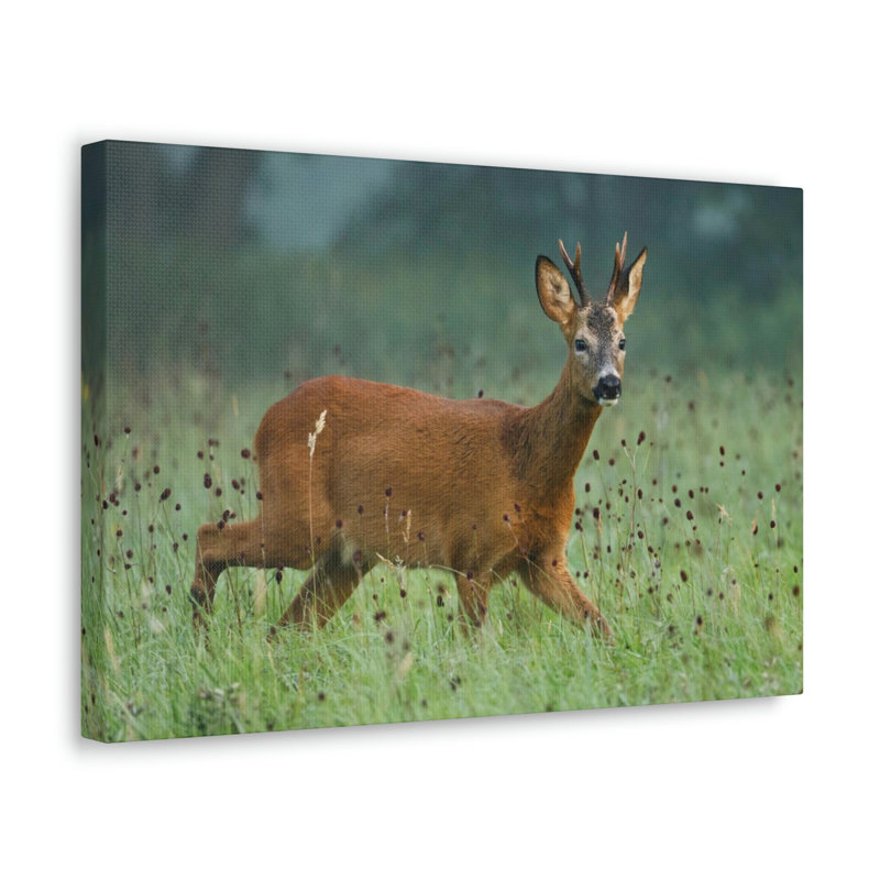 No Frame Print on Canvas