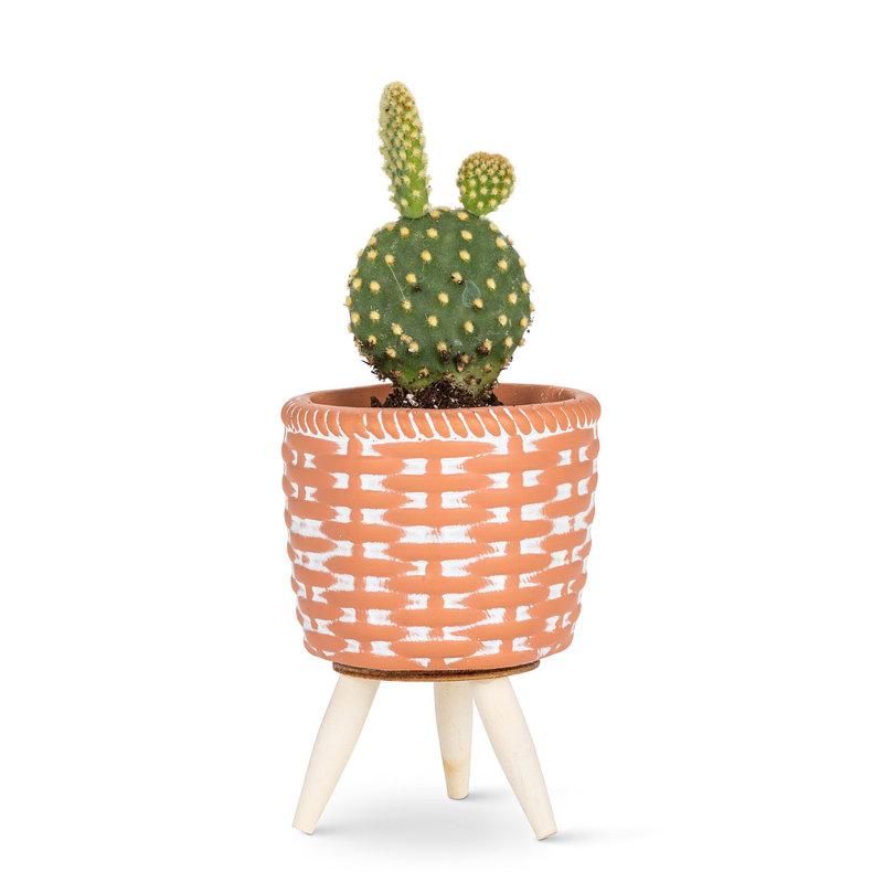 Pot à fleurs en ciment Bollitree, H 4 po x l 3 po x P 3 po