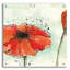 Art mural en verre «Not a California Poppy 3» par Chris Paschke-1766328281