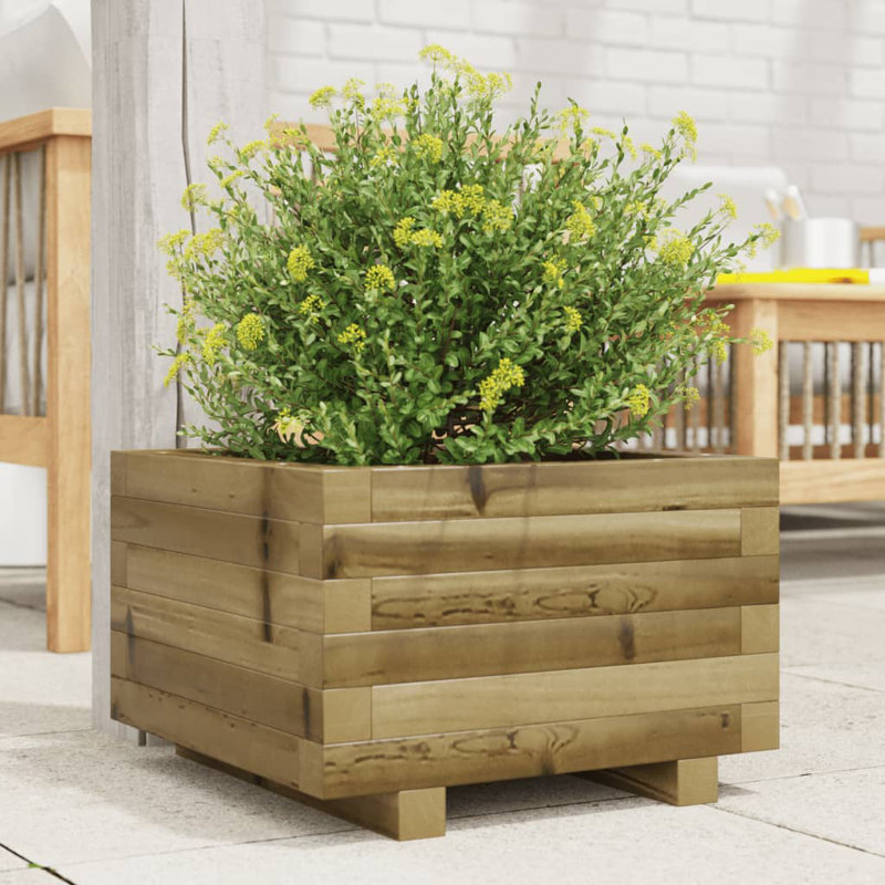 Bhavika Planter Box, 10.43" H x 15.75" W x 15.75" D, Impregnated 