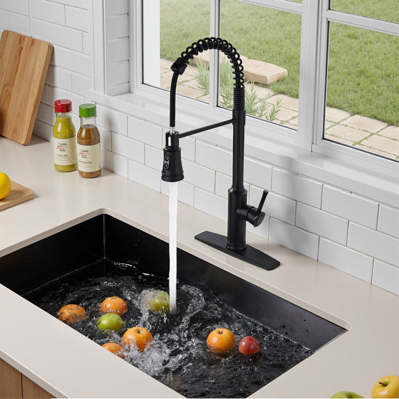 Robinet de cuisine rétractable à poignée simple avec accessoires, Noir