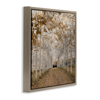 Cadre flottant Birch Grove, design par Assaf Frank
