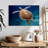 Brampt Swimming Turtle-108709590