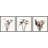 " Rustic Dandelion " 3 - Pieces-1151534248