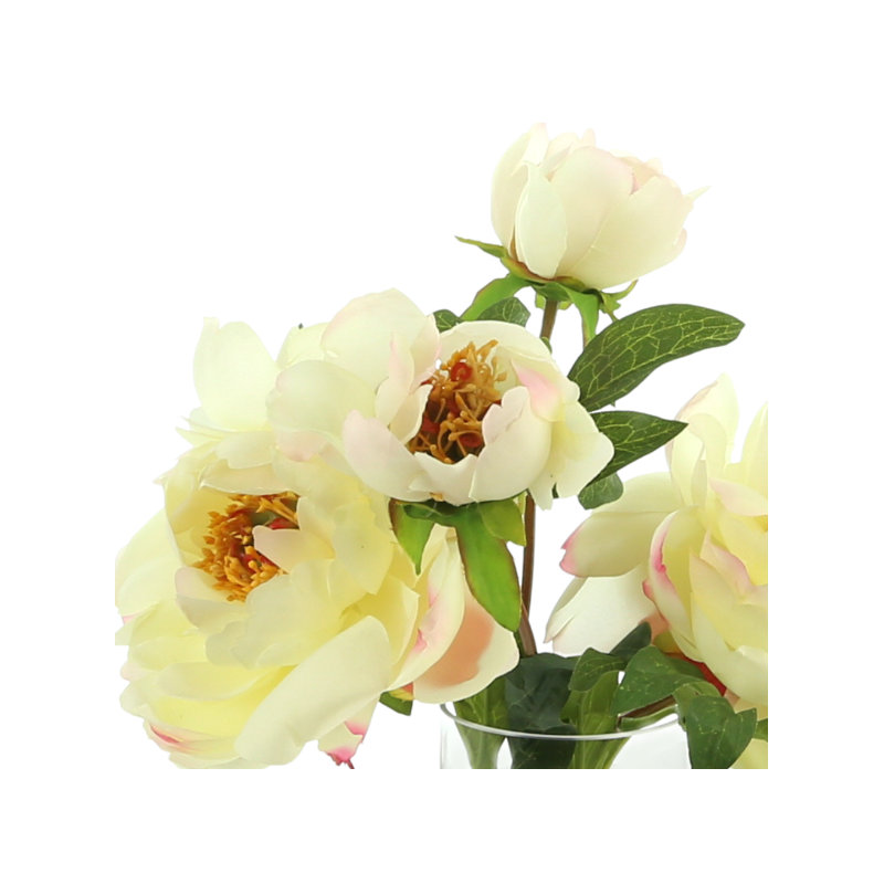 Peonies Floral Arrangement in Vase