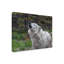 «Loup hurlant» bolognaise sur toile-98248426