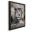 Pride of the Pride - Photographie de cadre photo sur toile-1597176400-1597176402