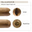 Coupe-cigare-49498436