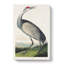 Hooping Crane by John Audubon - Wrapped Canvas Painting-55360393