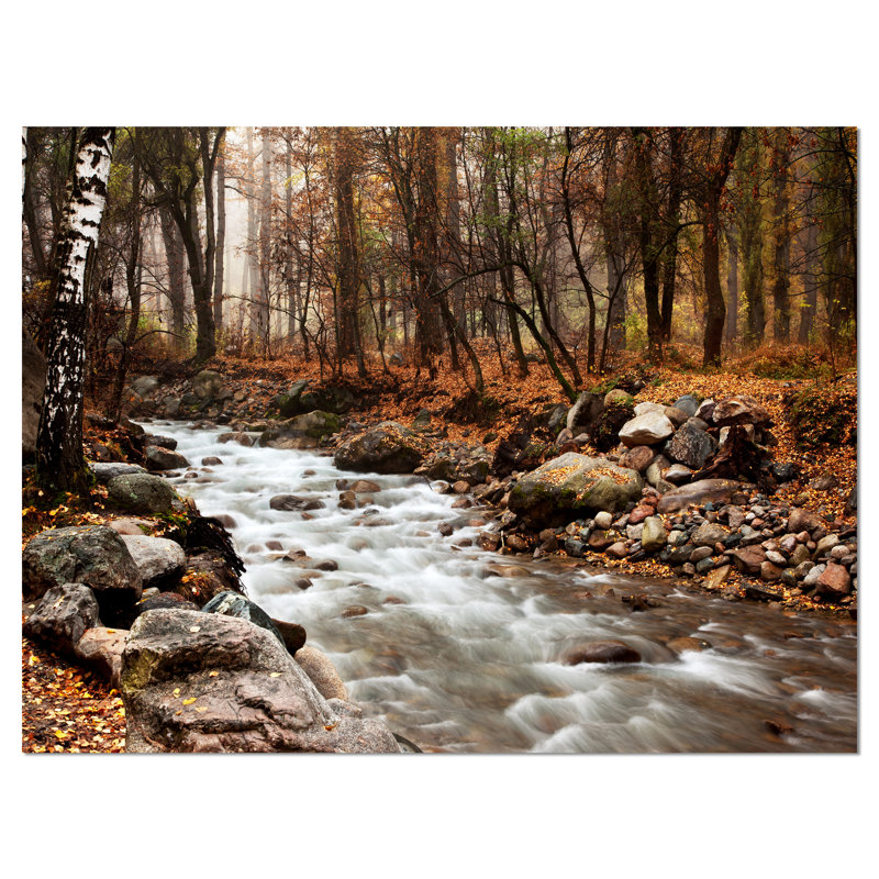 Photographie sur toile tendue - Stream in Autumn Forest, H 20 po x l 20 po x P 1 po