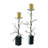 Twig C/H-22329290-22329289