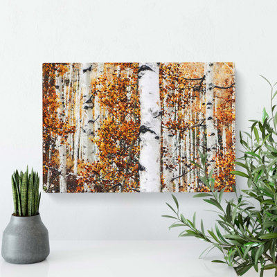 'Birch Trees in Autumn' - Wrapped Canvas