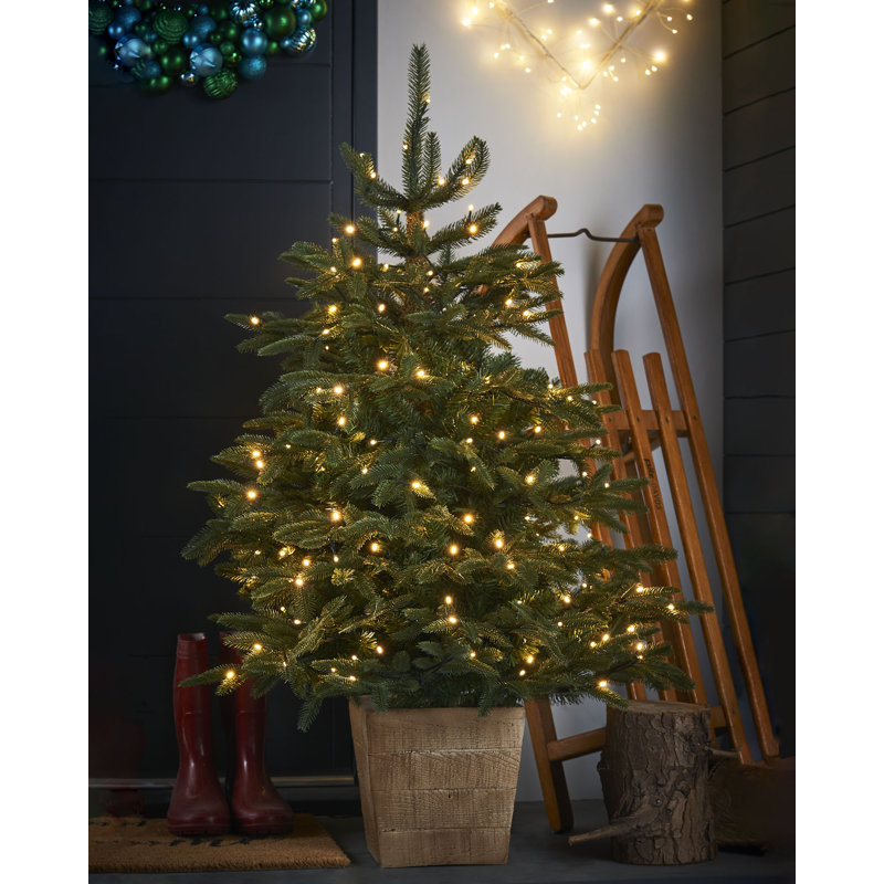 121.92cm H Lighted Artificial Fir Christmas Tree
