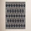 Andes Geometric Area Rug in Charcoal/Beige-1506145770