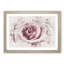 Pretty in Pink Rose Flower - Framed Print-56891979-56891980