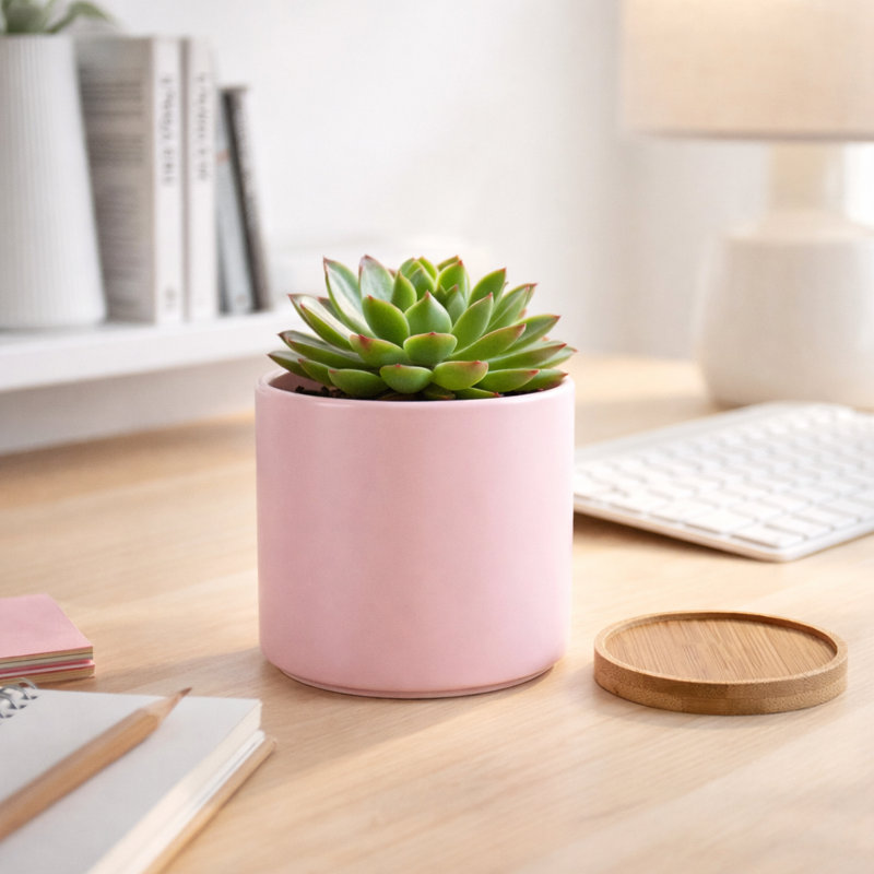 Zelal 2-Piece 4.5" Ceramic Pot Planter Set, Pink
