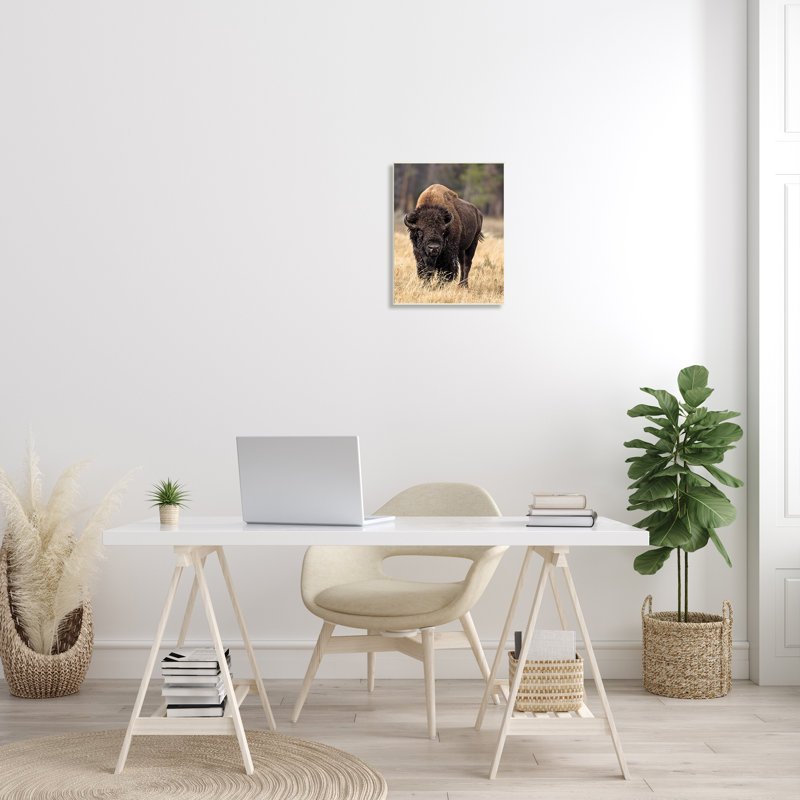Bison sauvage américain qui broute de l'herbe rustique - Photographie, H 19 po x l 13 po x P 1 po, Bois