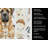 Apricot English Mastiff Coffee Bar Kitchen Towel-1168062708