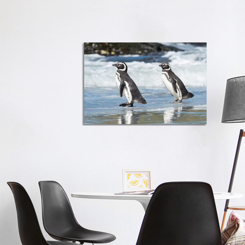 Magellanic Penguin, Falkland Islands. by Martin Zwick - Wrapped Canvas Print, 101.6 cm H x 66.04 cm W x 1.91 cm D
