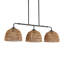 Buonomo 66.1" H 3-Light Rattan and Metal Dimmable Island Pendant-1814020776