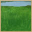 Pea Island Marsh Print by Leslie Snipes-848844812-848844811-848844808