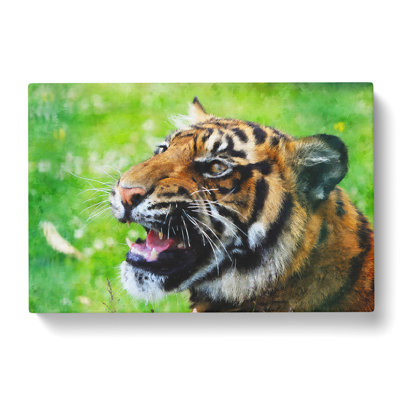 Tiger Vol.1 - Wrapped Canvas