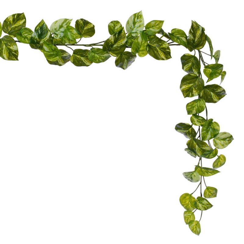 Vickerman 72" Artificial Manjula Pothos Garland