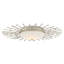 Planisphere LED Flush Mount