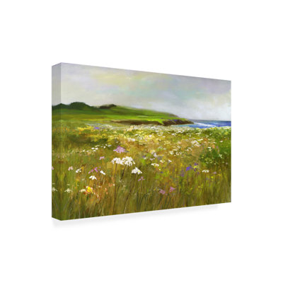 «Montara Bluff On Canvas» par Sheila Finch