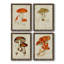 Champignon Variétés Ix - ensemble de 4 reproductions d'art sur toile encadrées-892446960-892446973