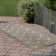Hey Tiger Outdoor Rug