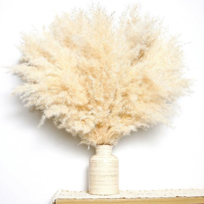 17'' Pampas Grass Grass, Cream