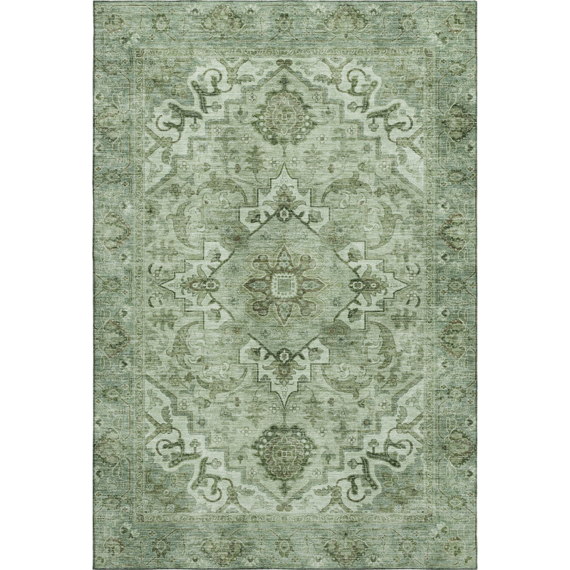 Premium Machine Washable Mayfield AMF2164 global Rug, Rectangle 8' x 10', Aloe