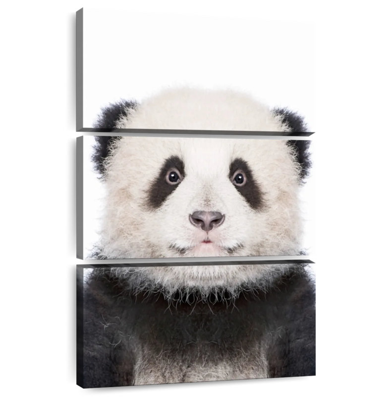 Brampt Panda Portrait, 57" H x 36" W