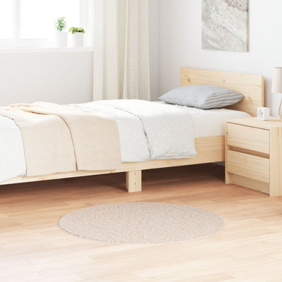 Area Rug