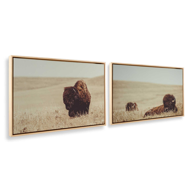 Prairie Bisons Set of 2 Wrapped Canvas, 32" x 48", Cadre flottant, American Maple, H 33 po x l 98 po
