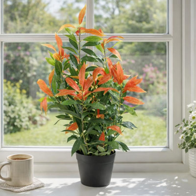 80cm Faux Plant in Pot Liner