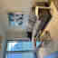 Photos des clients 1 de 1