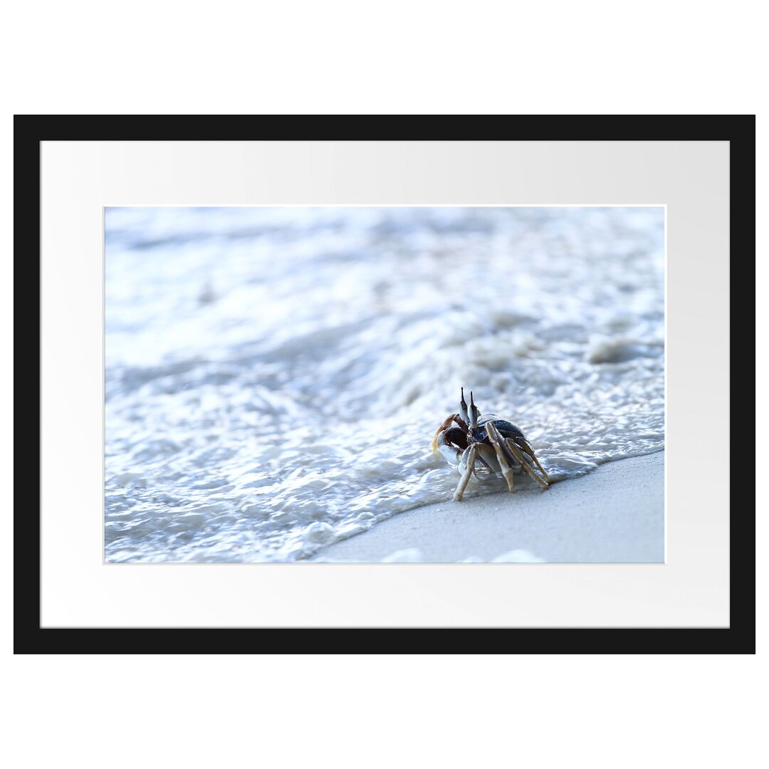 Gerahmtes Poster Kleine Krabbe am Strand