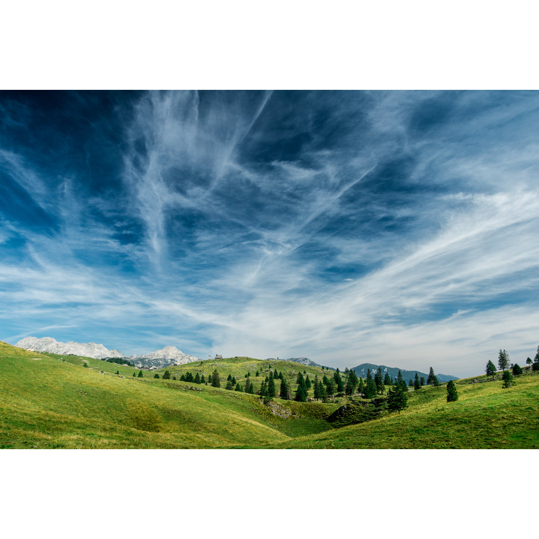 Velika Planina, Slowenien von Sestovic - Kunstdrucke auf Leinwand