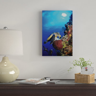 «Hawksbill Sea Turtle and Grey Angelfish by Coral Reef», reproduction de photo sur toile