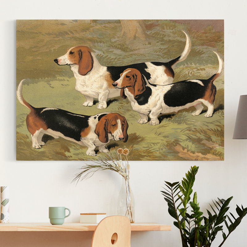 « Basset Hounds »-impression sur toile, H 12 po x l 18 po x P 1,5 po