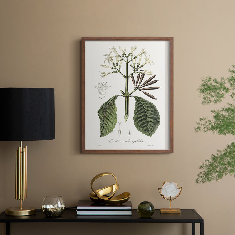 Tropical Botanical IV, reproduction encadrée - bois massif, H 11 po x l 9 po, Noyer