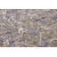Port Said Cream Indoor/Outdoor Rug-84974724