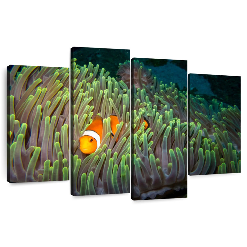 Brampt Underwater Clownfish, 42" H x 68" W