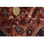 Wool Oriental Area Rug in Yellow